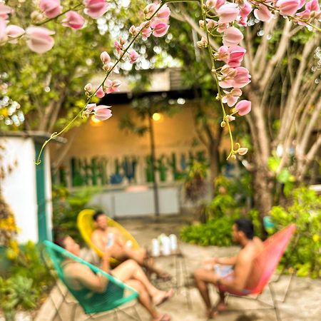 Hostal El Rio Leon Exterior photo