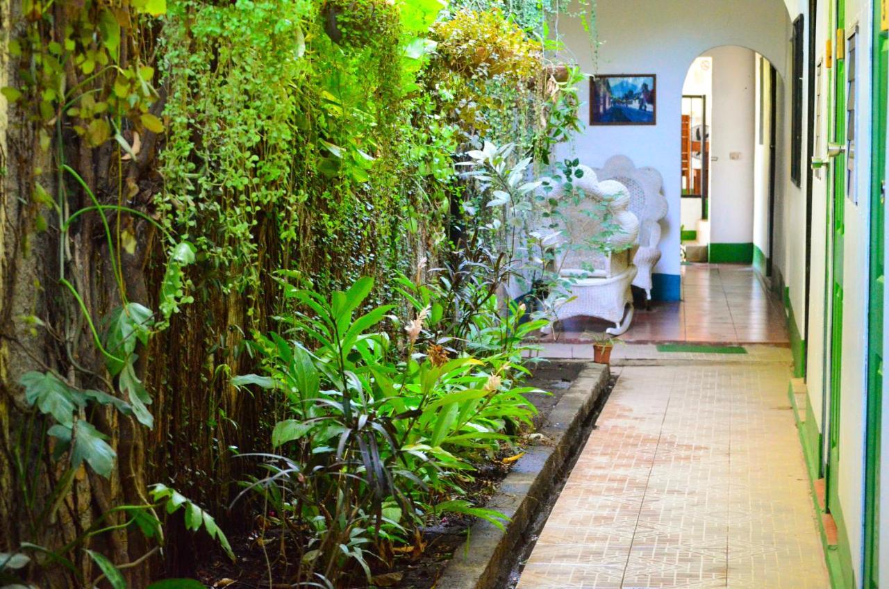 Hostal El Rio Leon Exterior photo